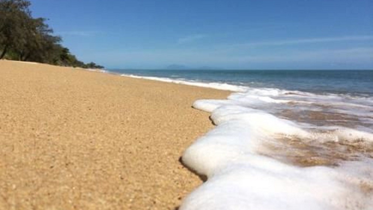 Photo of Others in Port Douglas