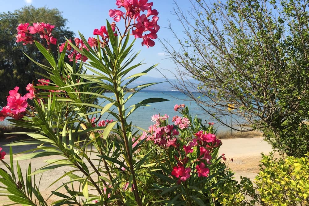 Photo of Outdoor in Chalcis