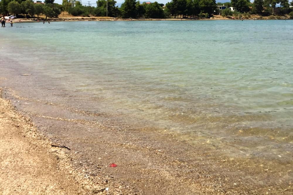 Photo of Others in Chalcis