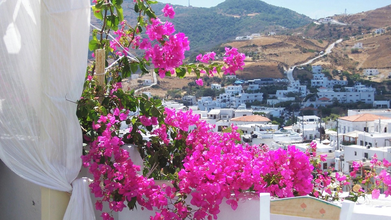 Photo of Outdoor in Skiros