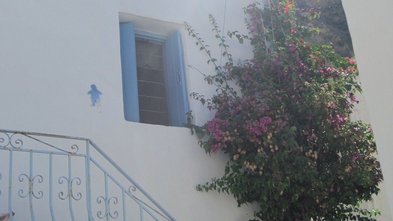 Photo of Outdoor in Skiros