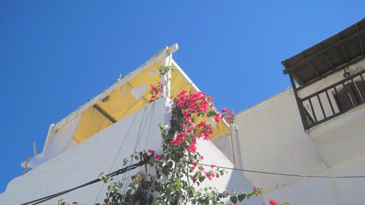 Photo of Outdoor in Skiros
