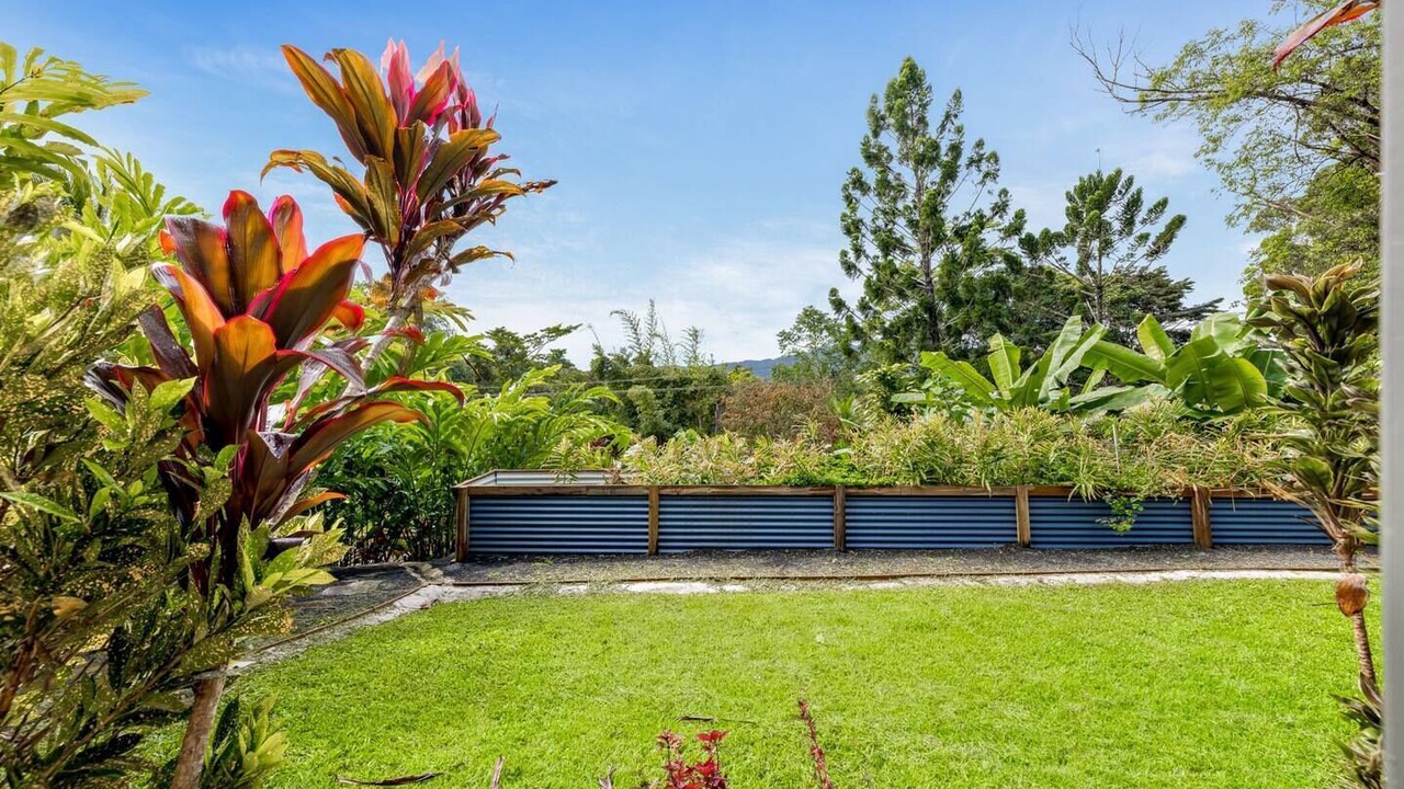 Photo of Outdoor in Kuranda