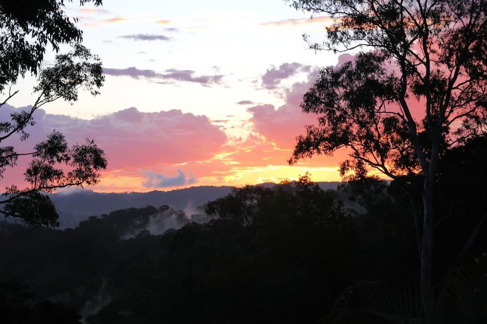 Photo of Outdoor in Eumundi