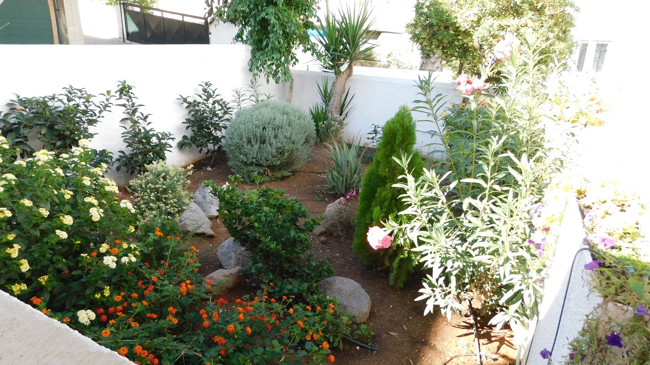 Photo of Outdoor in Perdhika