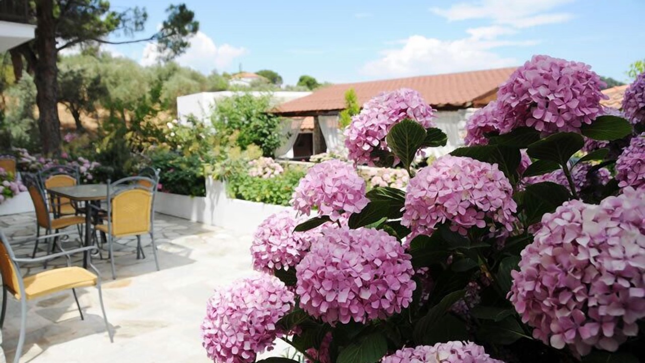 Photo of Outdoor in Troulos