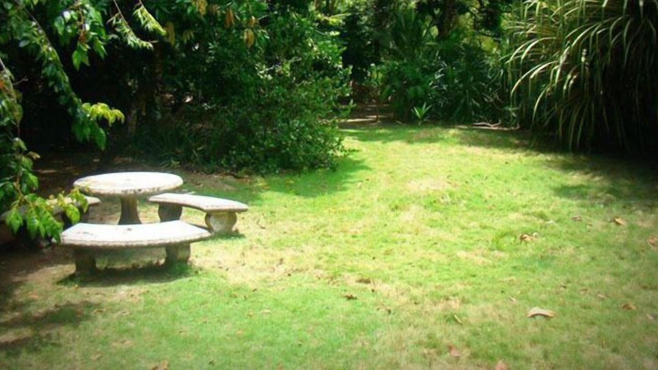 Photo of Outdoor in Quebrada La Gamba