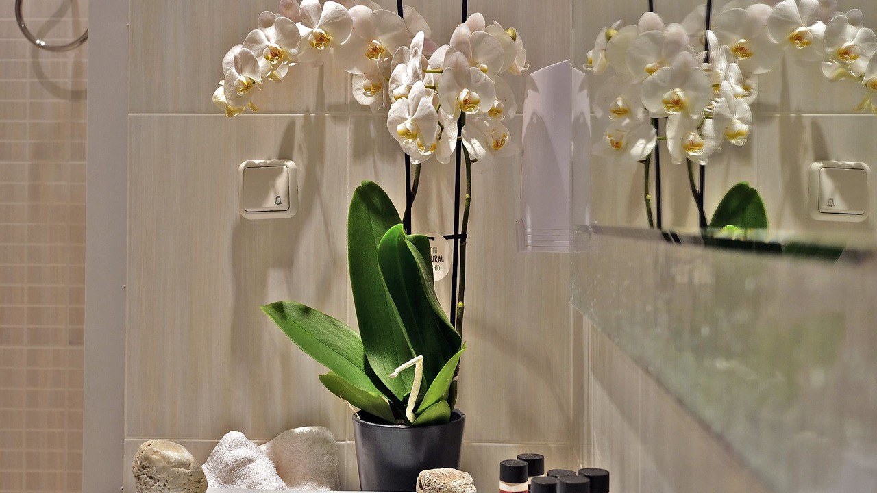 Photo of Bathroom in Kefalari