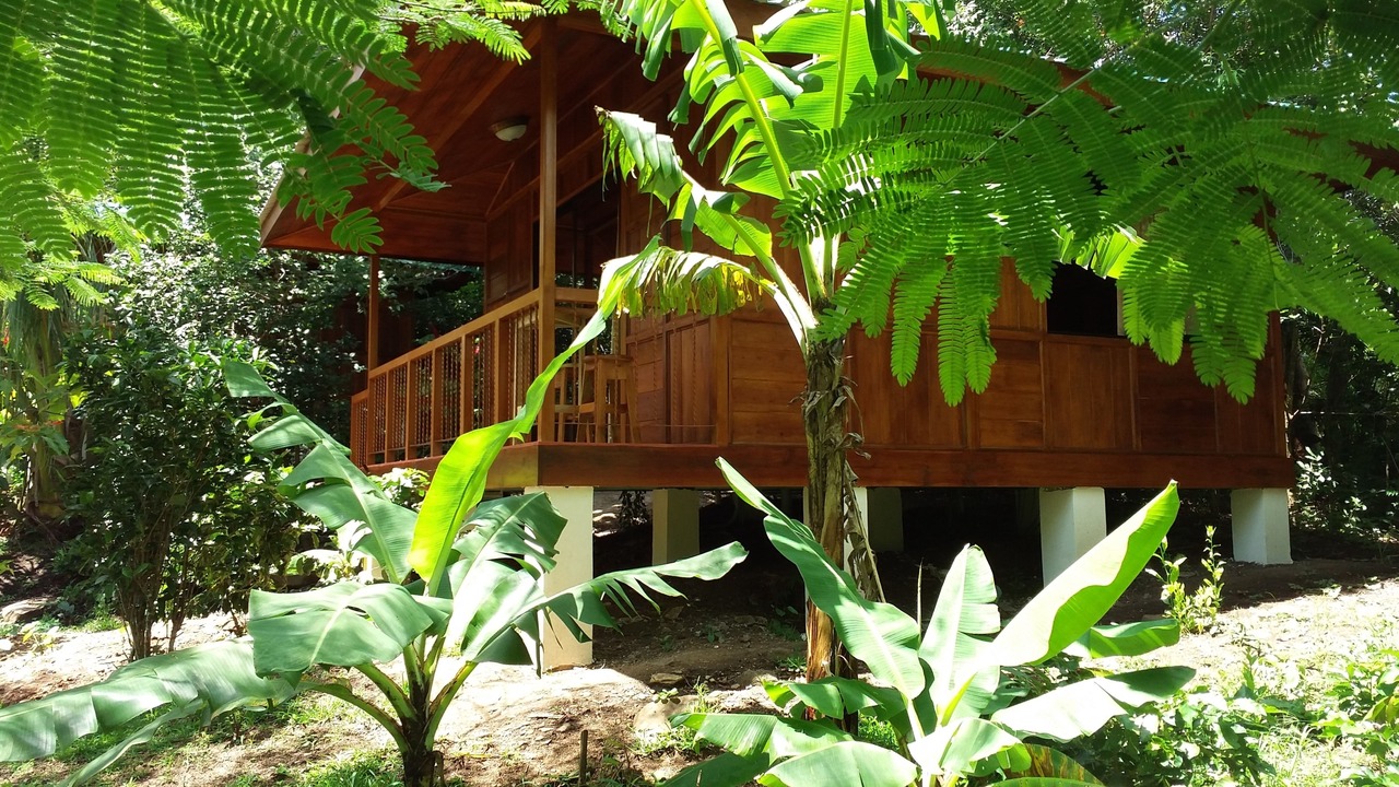 Photo of Patio Balcony in Monteverde