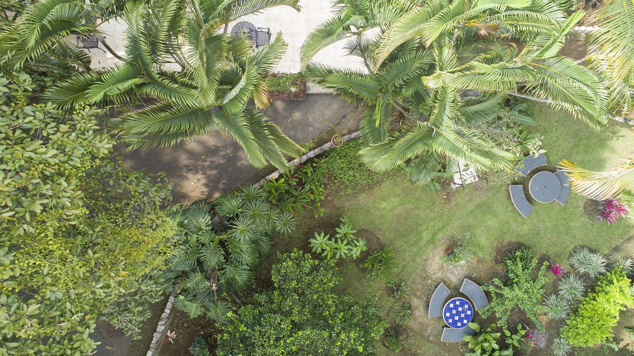 Photo of Outdoor in Alajuela