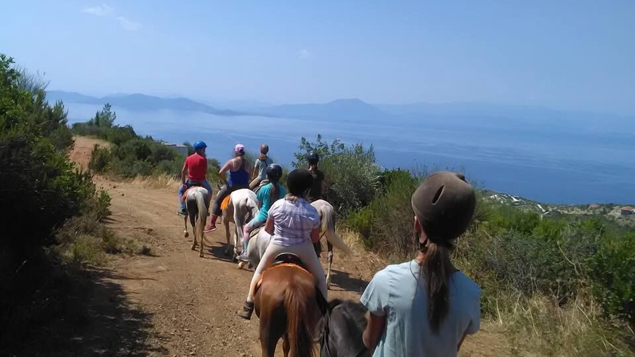 Photo of Others in South Pelion