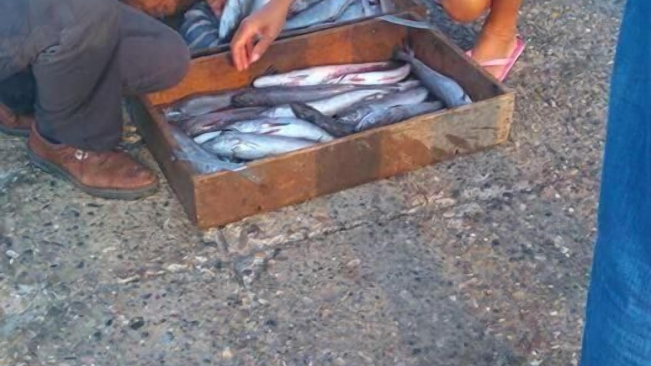 Photo of Others in Eratini