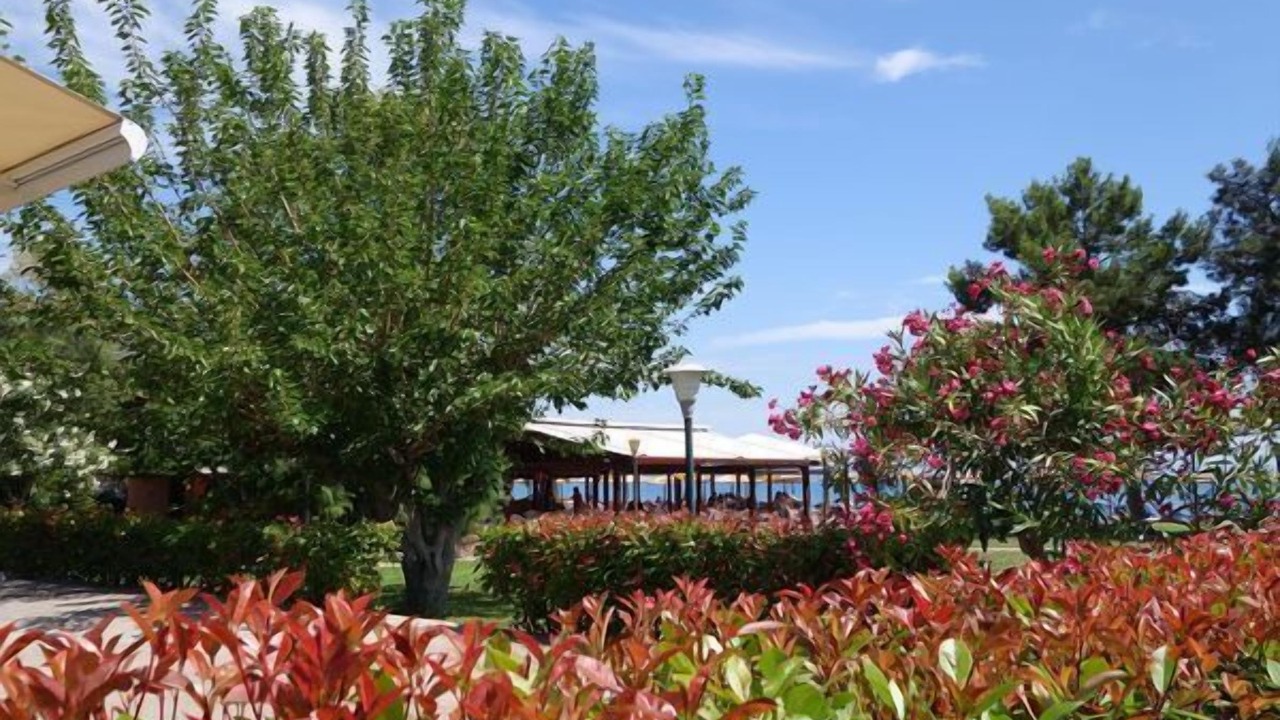Photo of Outdoor in Itea