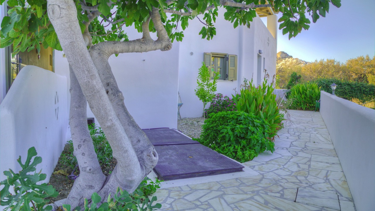 Photo of Outdoor in Skiros