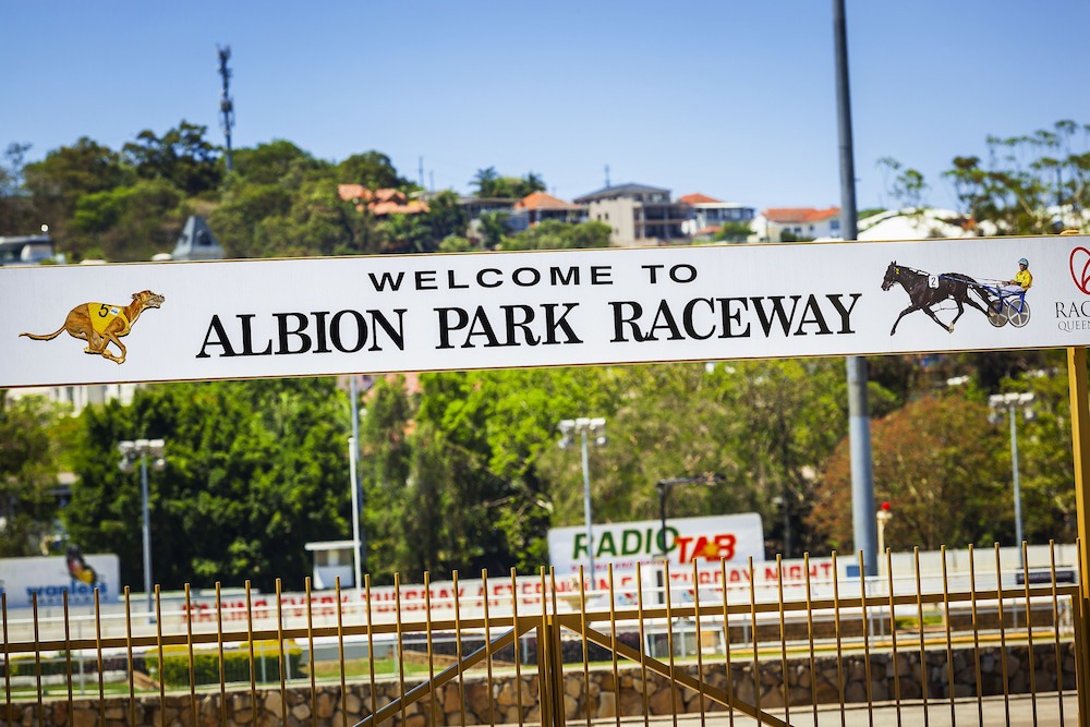 Photo of Others in Albion