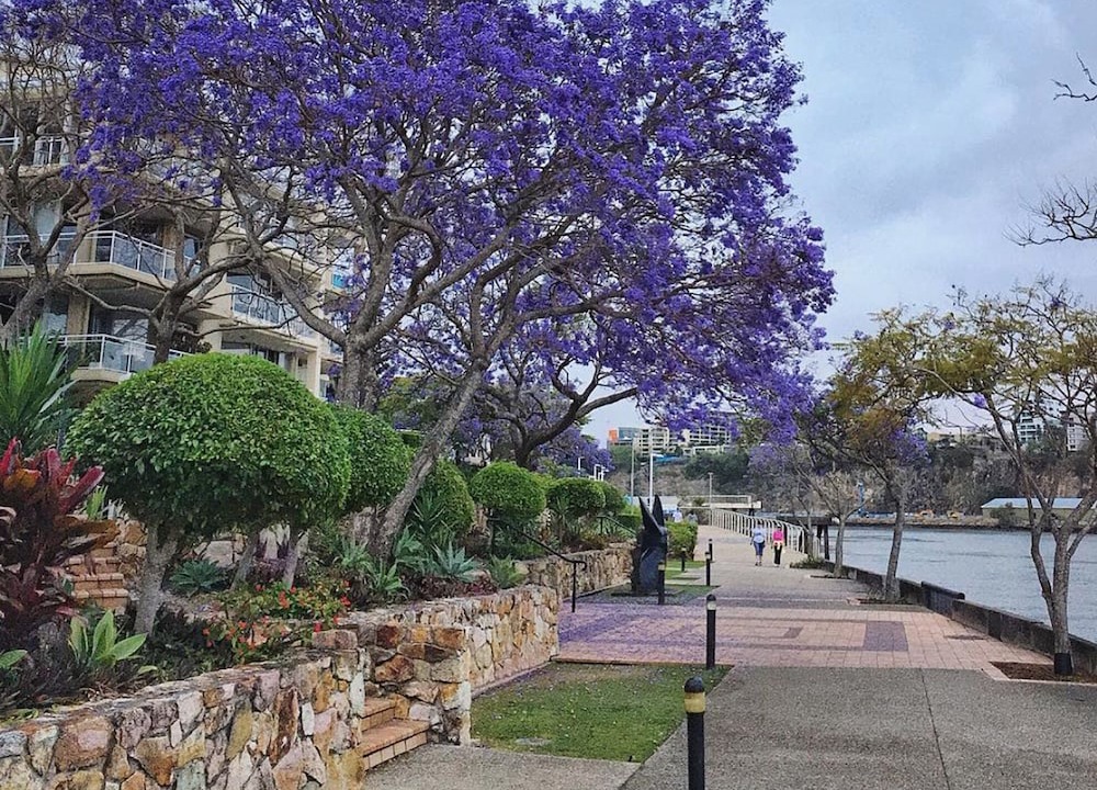 Photo of Outdoor in Kangaroo Point