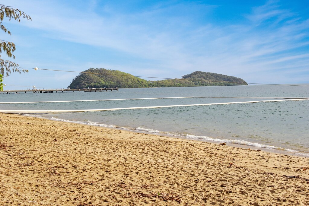 Photo of Others in Palm Cove