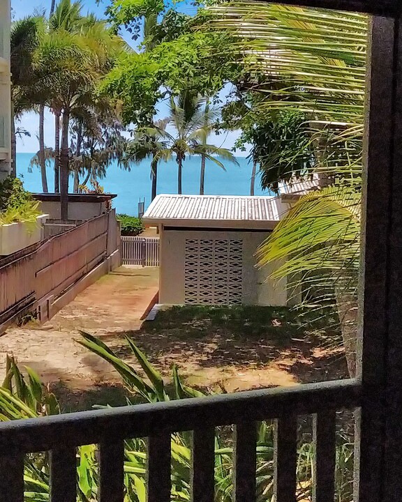 Photo of Others in Palm Cove