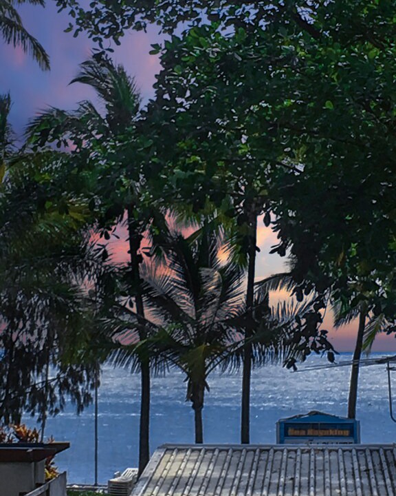 Photo of Outdoor in Palm Cove