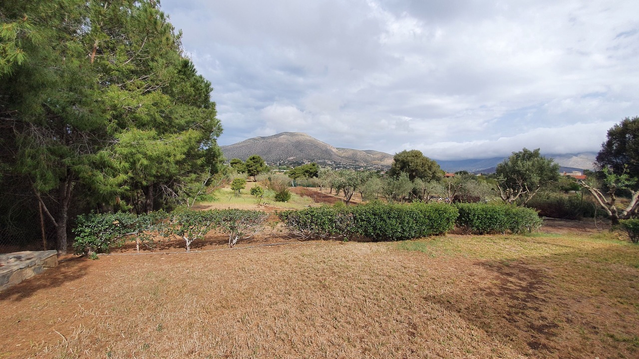 Photo of Outdoor in Palaia Fokaia