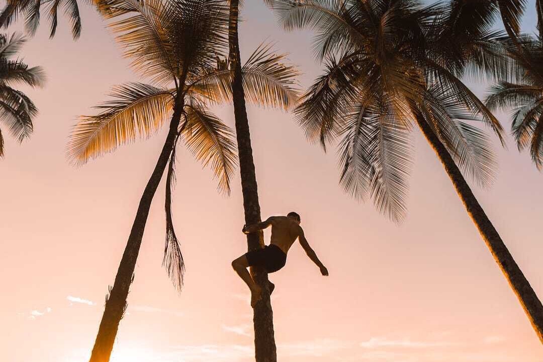 Photo of Others in Drake Bay