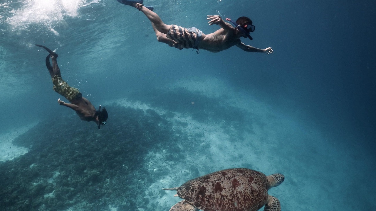 Photo of Others in Drake Bay