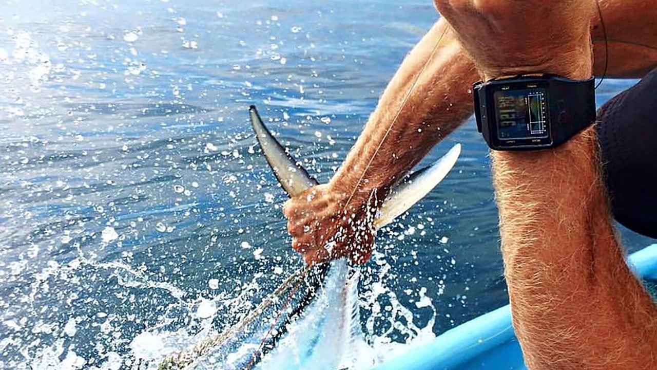 Photo of Others in Drake Bay