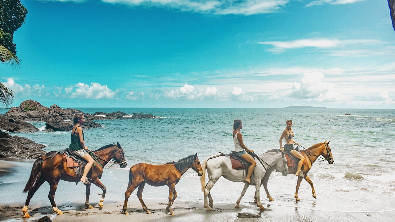 Photo of Others in Drake Bay