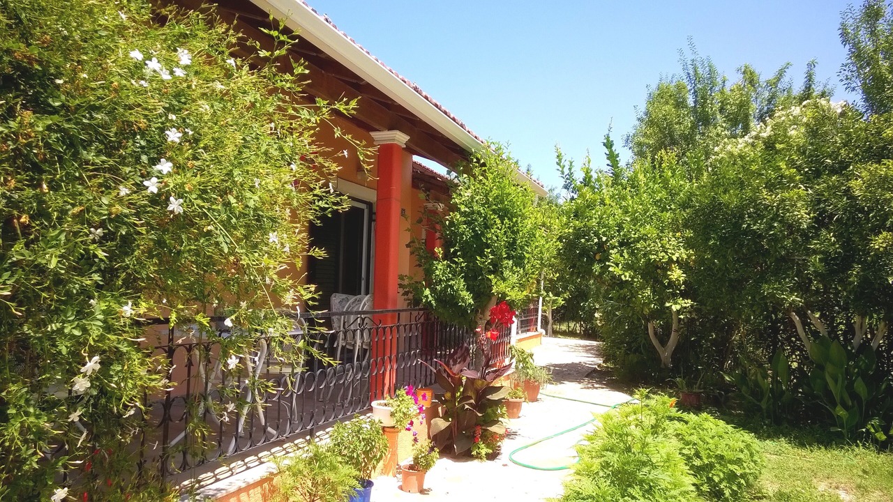 Photo of Outdoor in Melikia