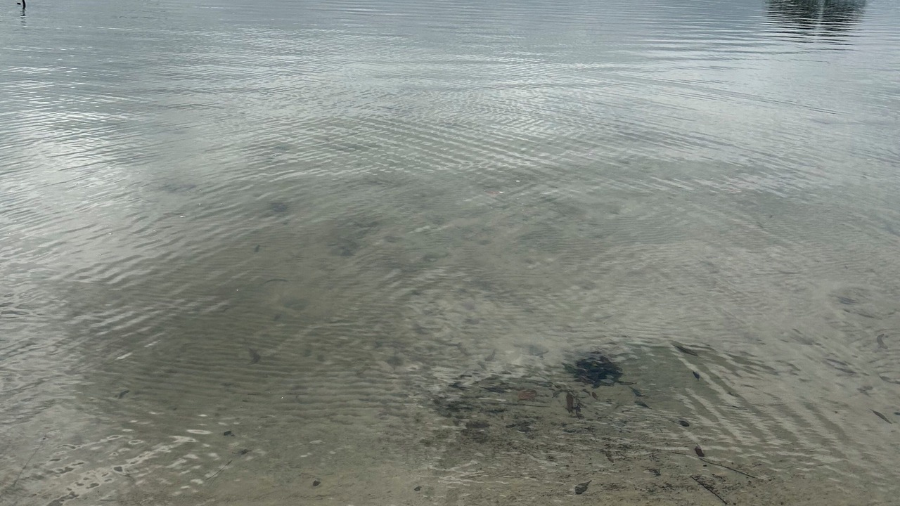 Photo of Others in Tin Can Bay