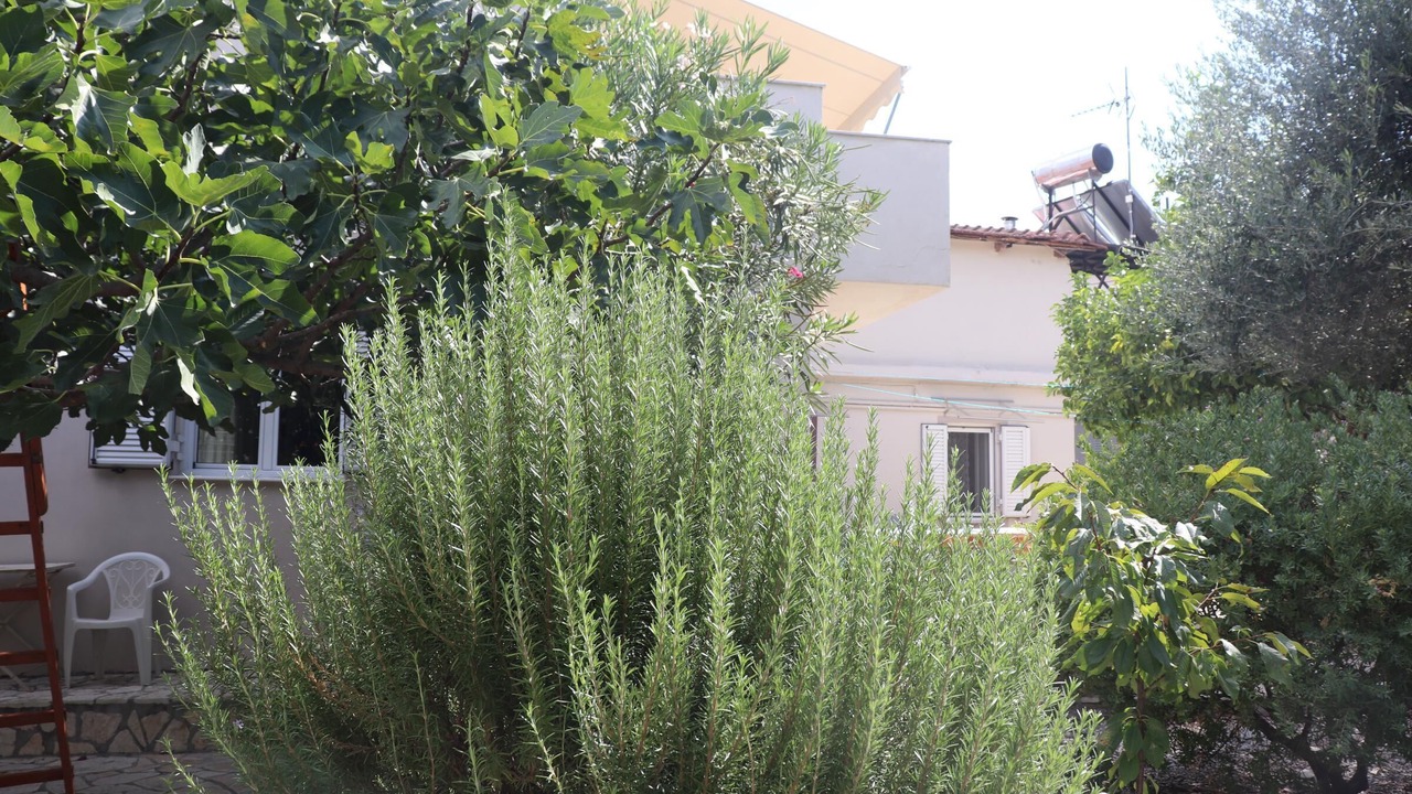 Photo of Outdoor in Selianitika