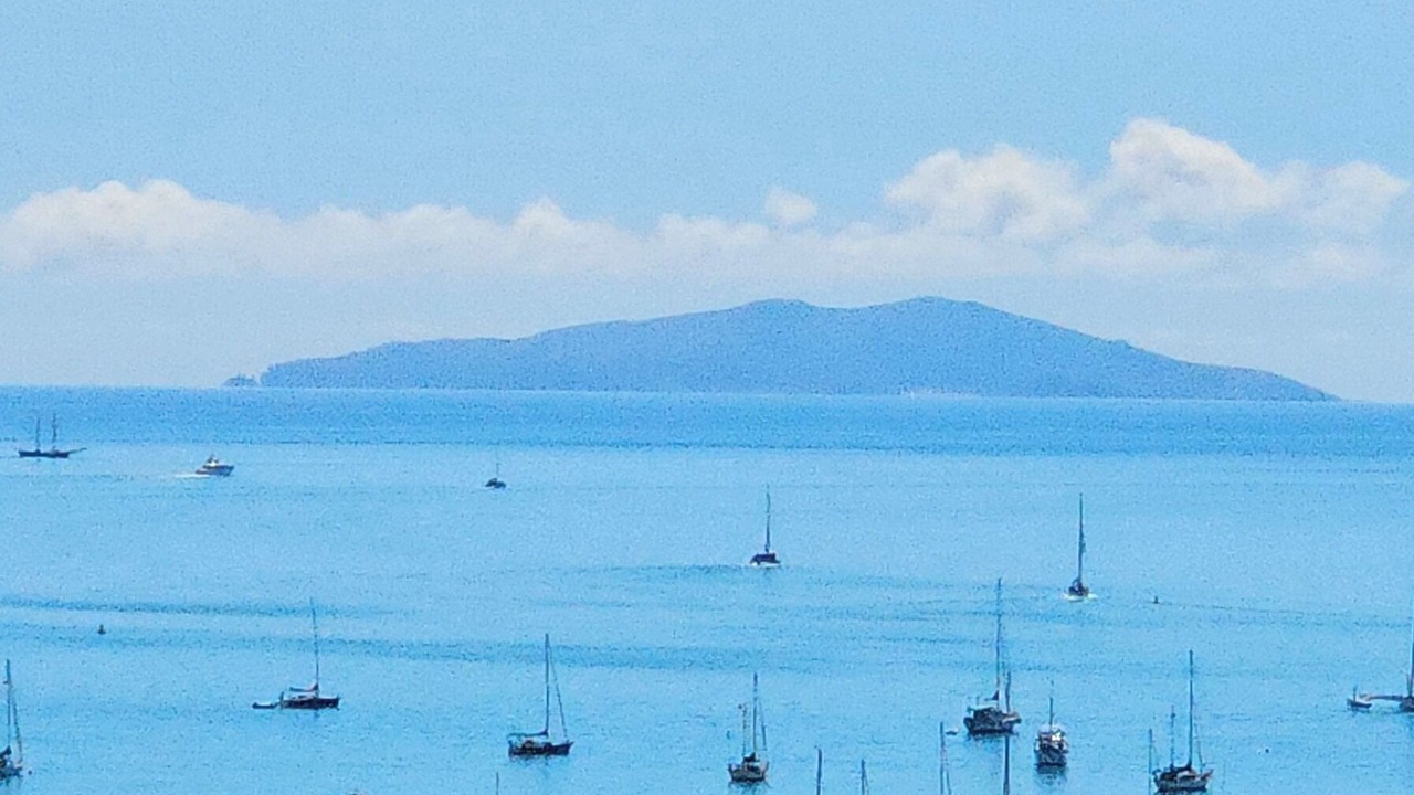 Photo of Others in Cannonvale