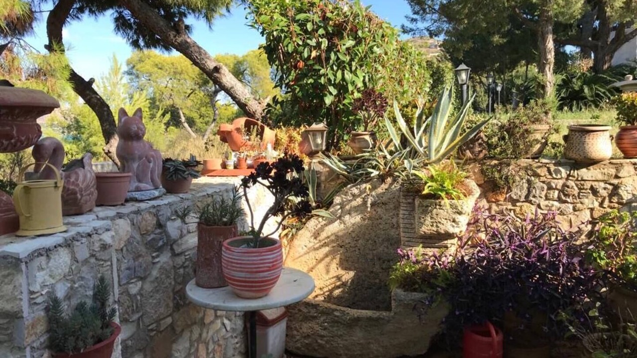 Photo of Outdoor in Salamis