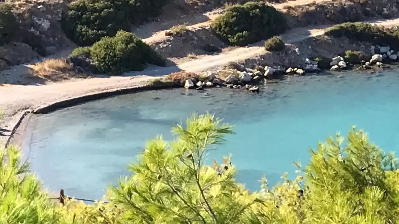 Photo of Others in Salamis