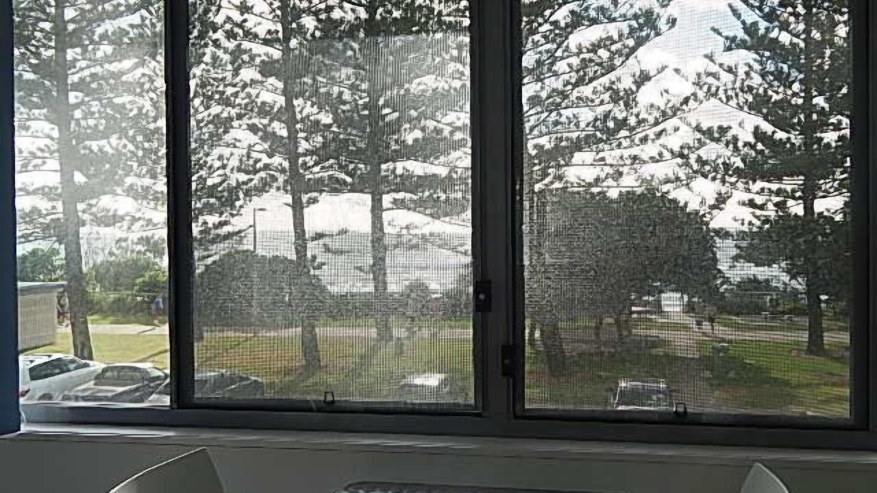 Photo of Others in Burleigh Heads