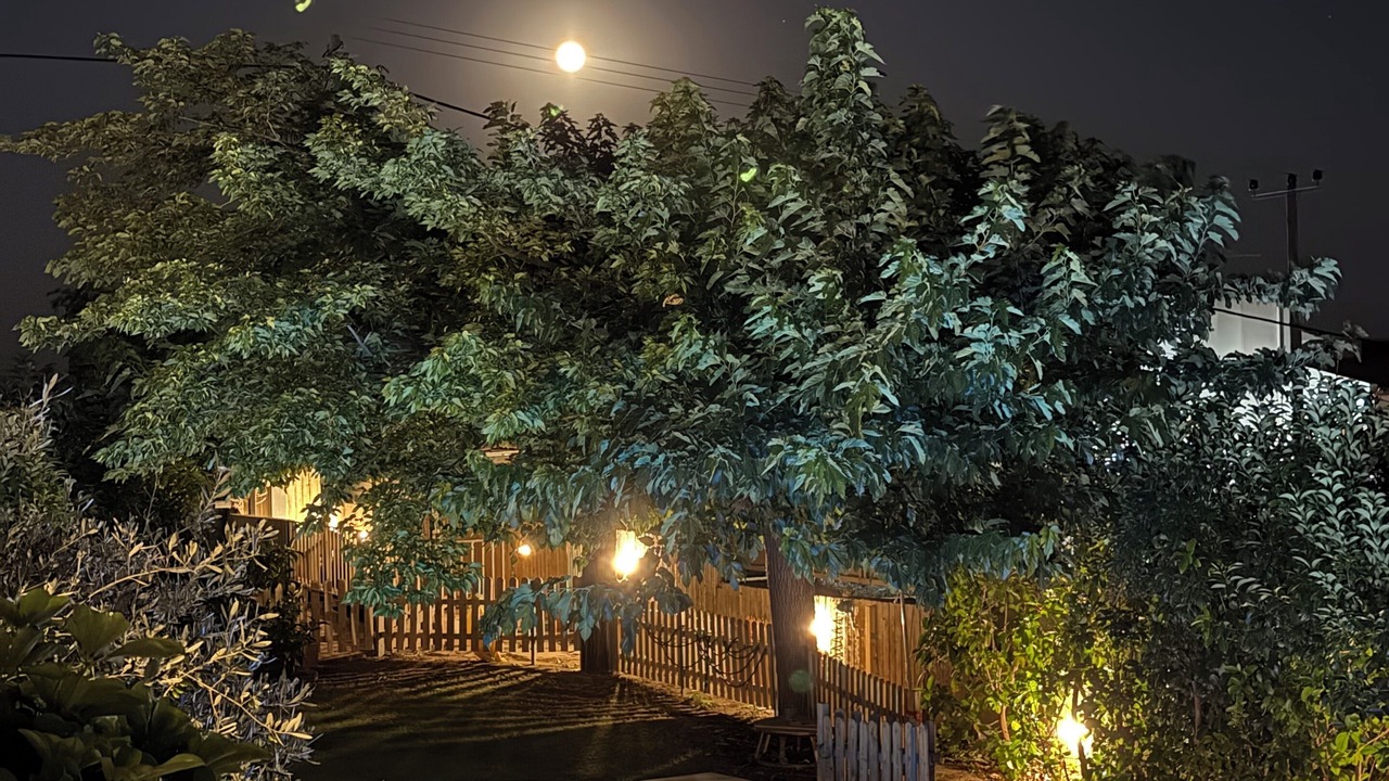 Photo of Outdoor in Nea Makri
