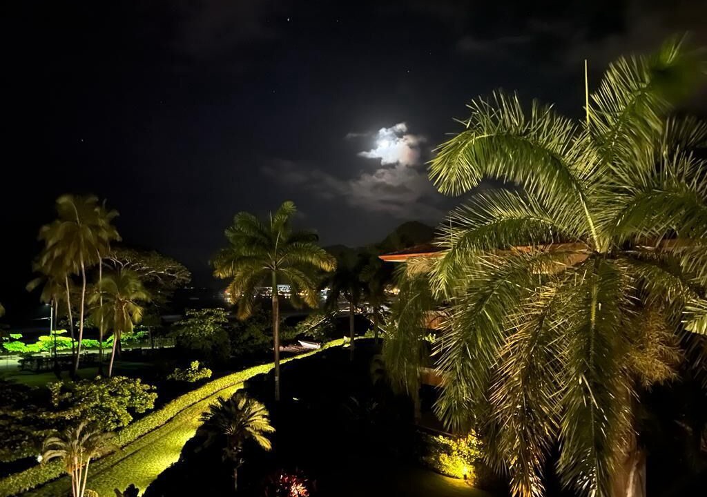 Photo of Outdoor in Herradura