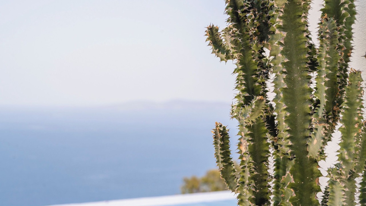 Photo of Others in Agios Stefanos