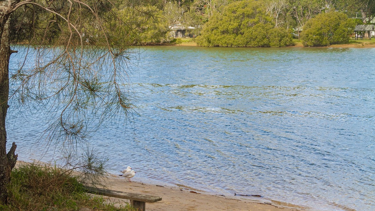 Photo of Others in Currumbin Waters
