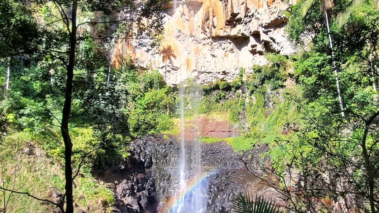 Photo of Others in Springbrook