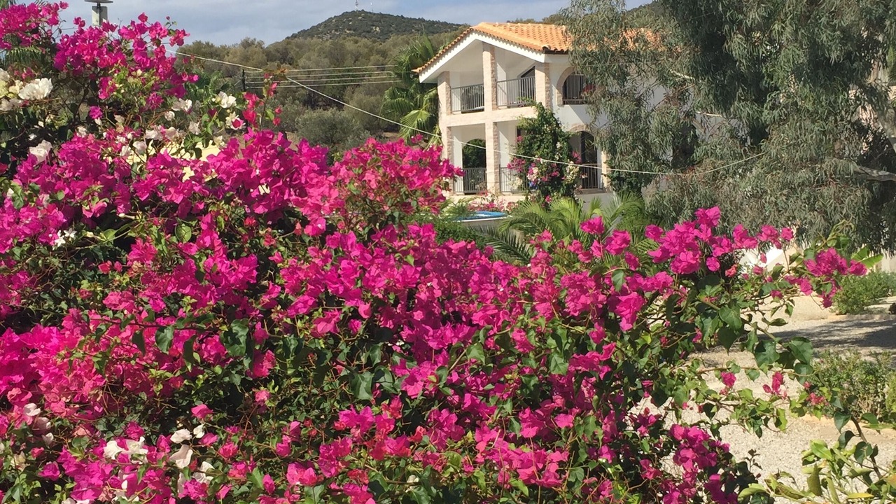 Photo of Outdoor in Plepi