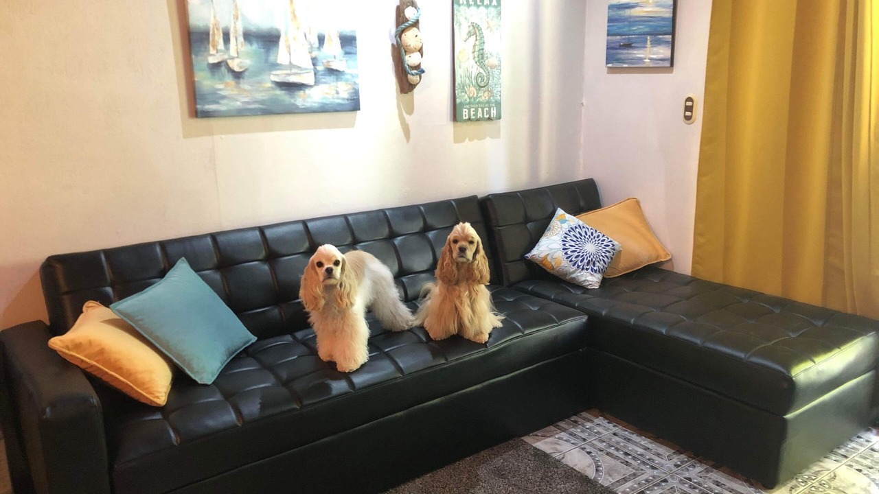 Photo of Livingroom in Parrita