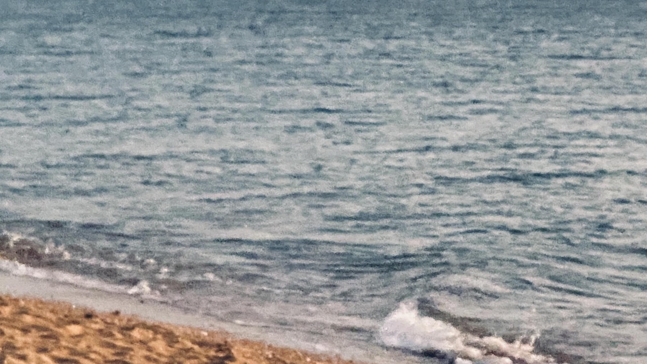 Photo of Outdoor in Nelly Bay