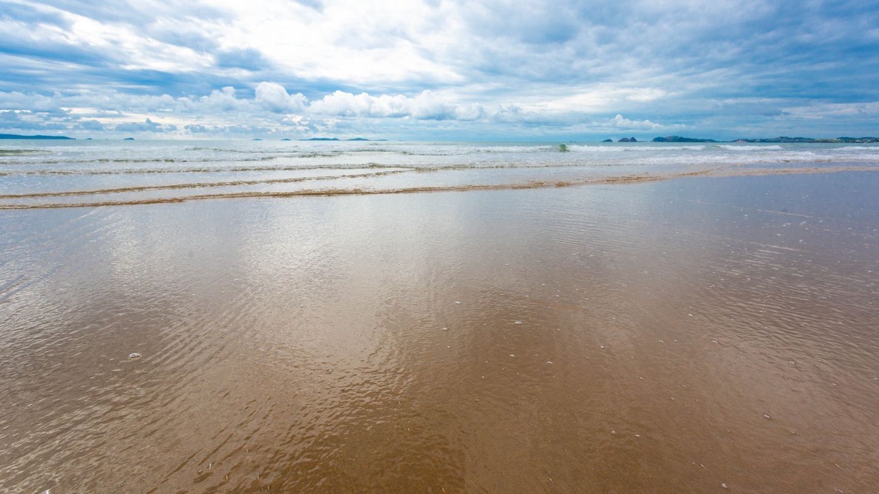 Photo of Others in Yeppoon