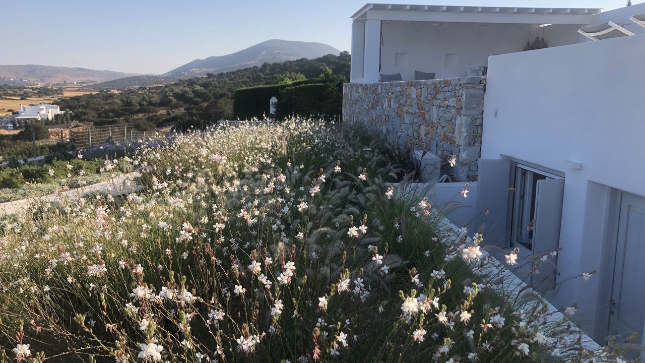 Photo of Outdoor in Naxos