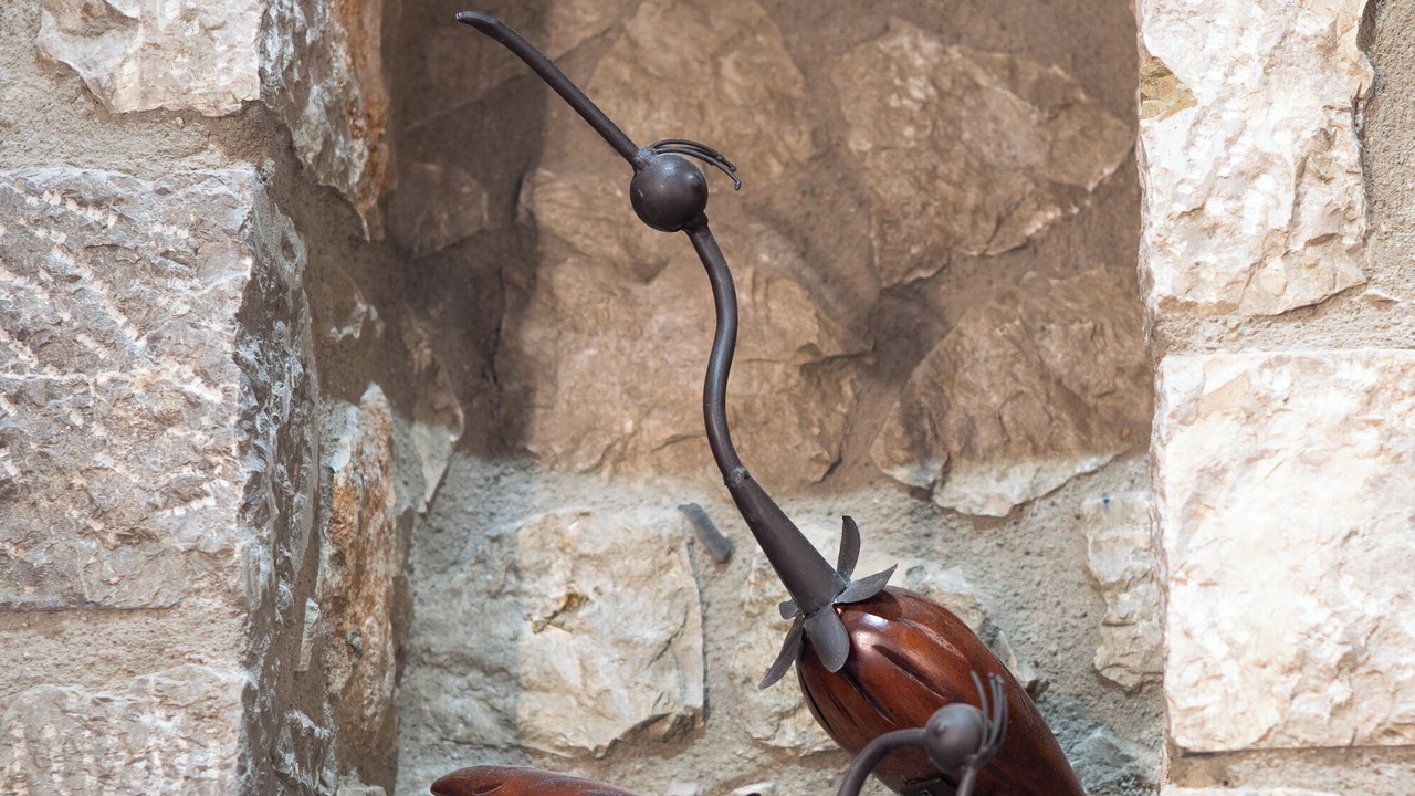 Photo of Outdoor in Arachova