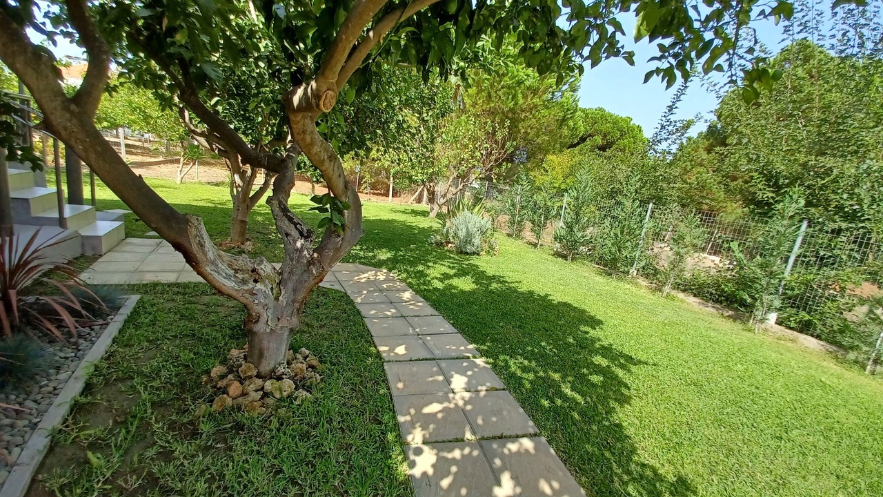 Photo of Outdoor in Katakolo