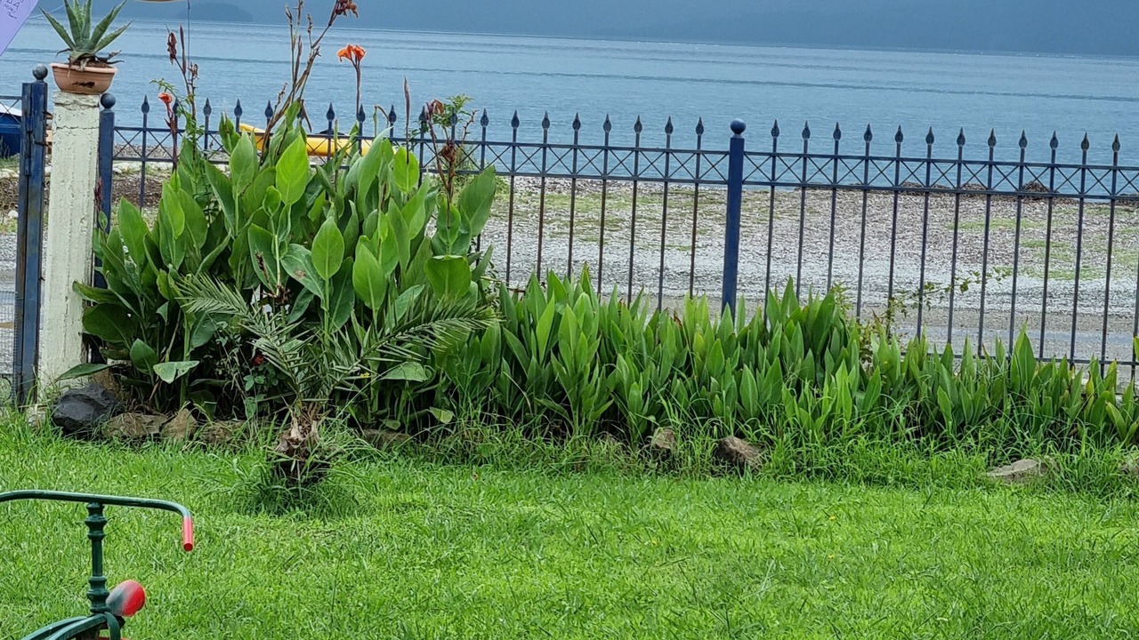 Photo of Outdoor in Stylida
