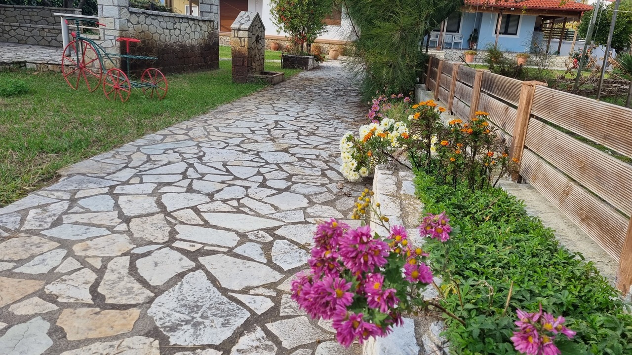 Photo of Outdoor in Stylida