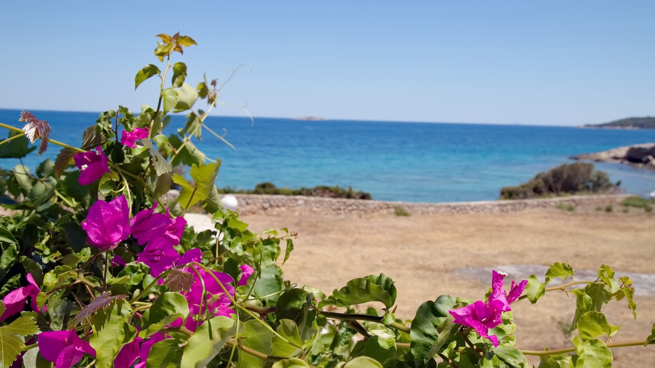 Photo of Outdoor in Spetses